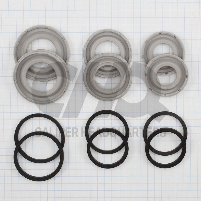 Caliper Kit For 2004 PORSCHE 911 GT3 ; Iron Disc Front